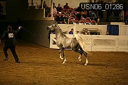 USN06_01286 proof