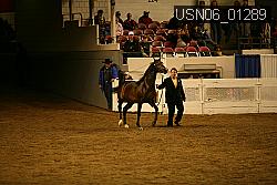 USN06_01289 proof