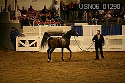 USN06_01290 proof