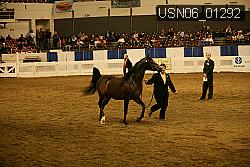 USN06_01292 proof