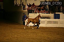 USN06_01293 proof