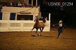 USN06_01294 proof