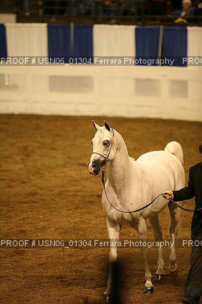 Proof USN06_01304