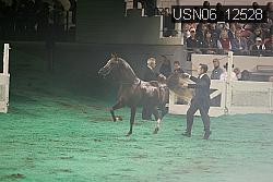 USN06_12528 proof