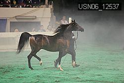 USN06_12537 proof