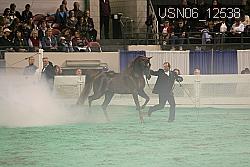 USN06_12538 proof