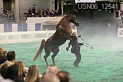 USN06_12541 proof