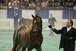 USN06_12549 proof