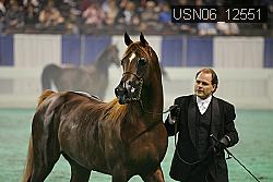 USN06_12551 proof