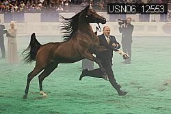 USN06_12553 proof