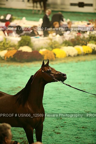 Proof USN06_12569