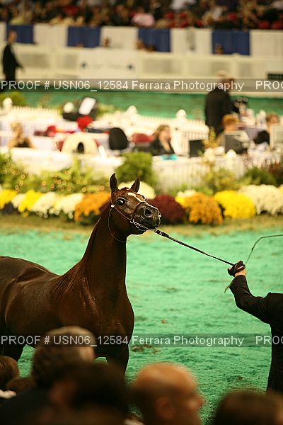 Proof USN06_12584