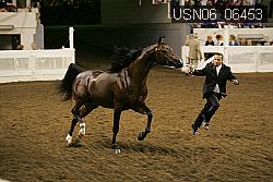 USN06_06453 proof