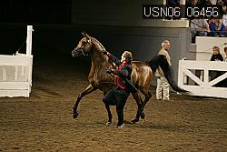 USN06_06456 proof