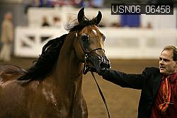USN06_06458 proof