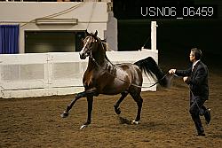 USN06_06459 proof