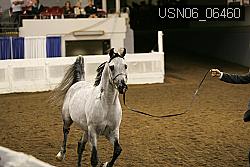 USN06_06460 proof