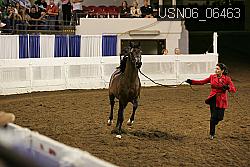 USN06_06463 proof