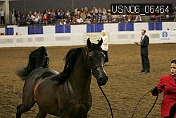 USN06_06464 proof