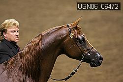 USN06_06472 proof