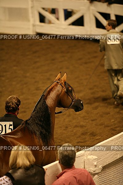 Proof USN06_06477