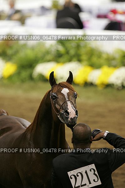 Proof USN06_06478