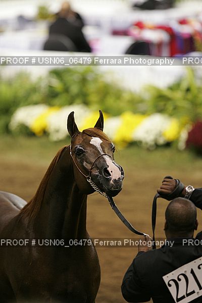 Proof USN06_06479