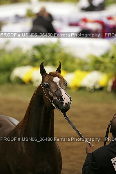 Proof USN06_06480