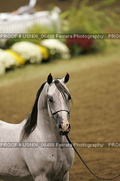 Proof USN06_06488