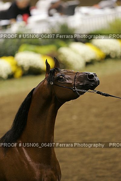 Proof USN06_06497