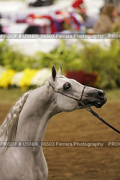 Proof USN06_06503