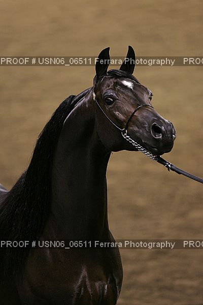 Proof USN06_06511