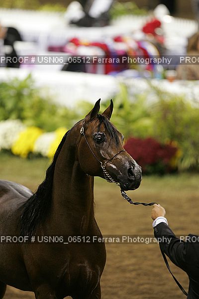 Proof USN06_06512