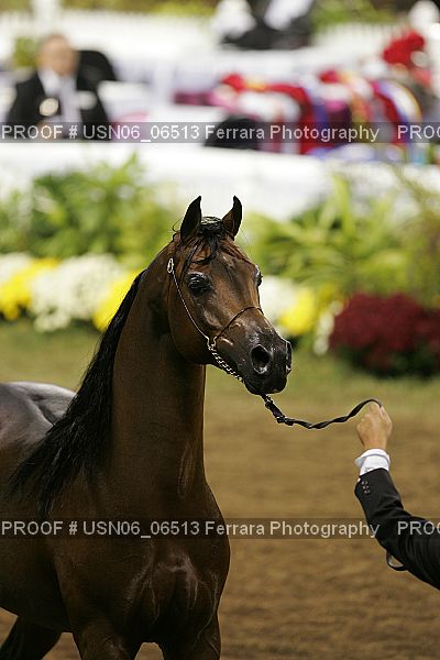 Proof USN06_06513