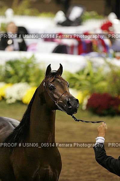 Proof USN06_06514