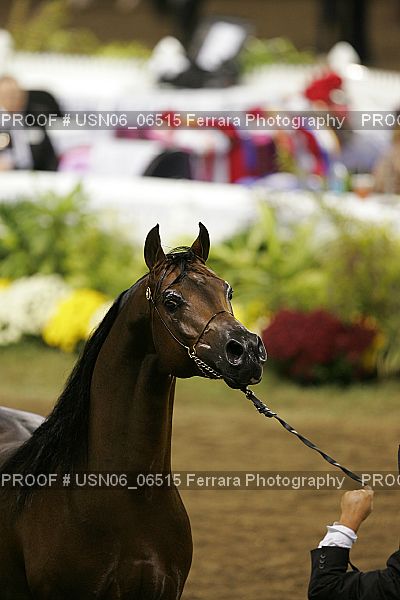 Proof USN06_06515