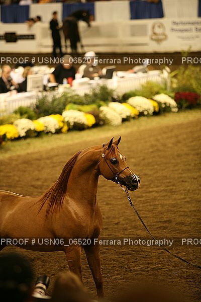 Proof USN06_06520