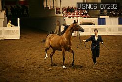 USN06_07282 proof