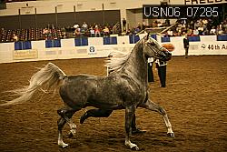 USN06_07285 proof