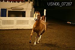 USN06_07287 proof