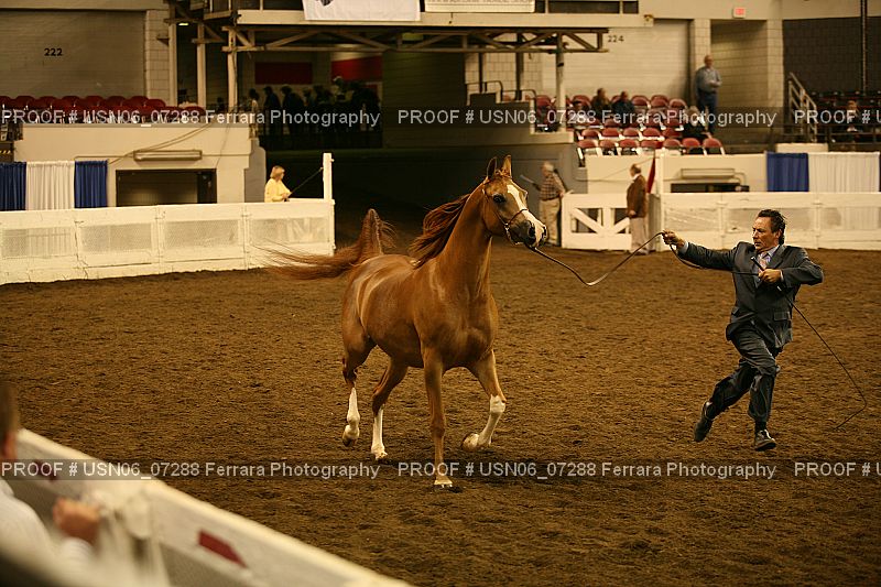 Proof USN06_07288