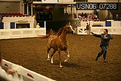 USN06_07288 proof