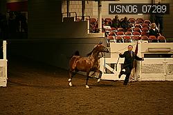 USN06_07289 proof