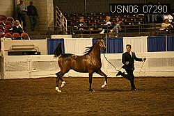 USN06_07290 proof