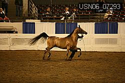 USN06_07293 proof