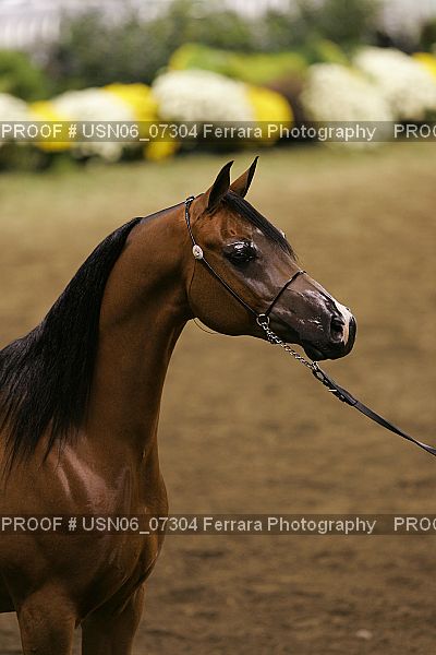 Proof USN06_07304