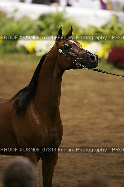 Proof USN06_07319