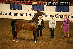 USN06_07331 proof