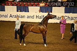 USN06_07332 proof