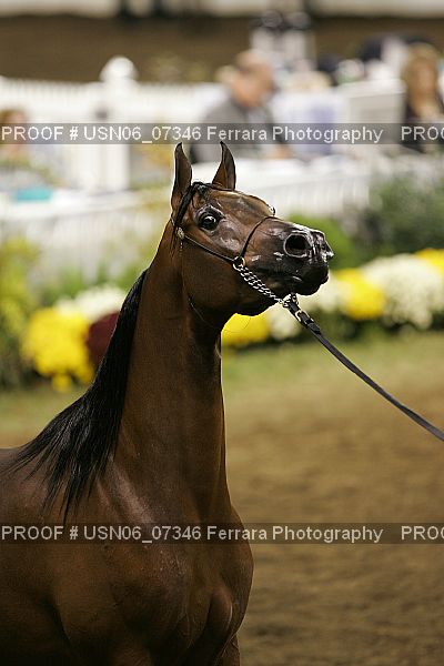 Proof USN06_07346